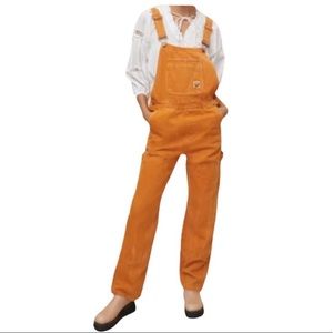 BDG Carpenter Overalls, Terracotta, Large, NWT